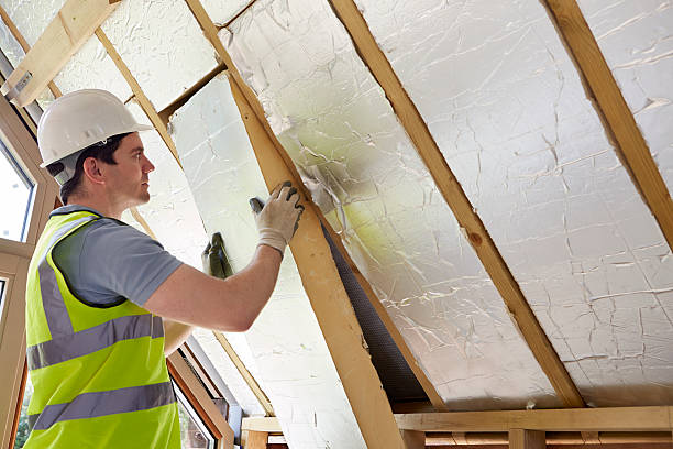 Best Insulation Maintenance and Repair in Virden, IL