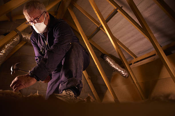 Best Geographic-Specific Insulation Services in Virden, IL